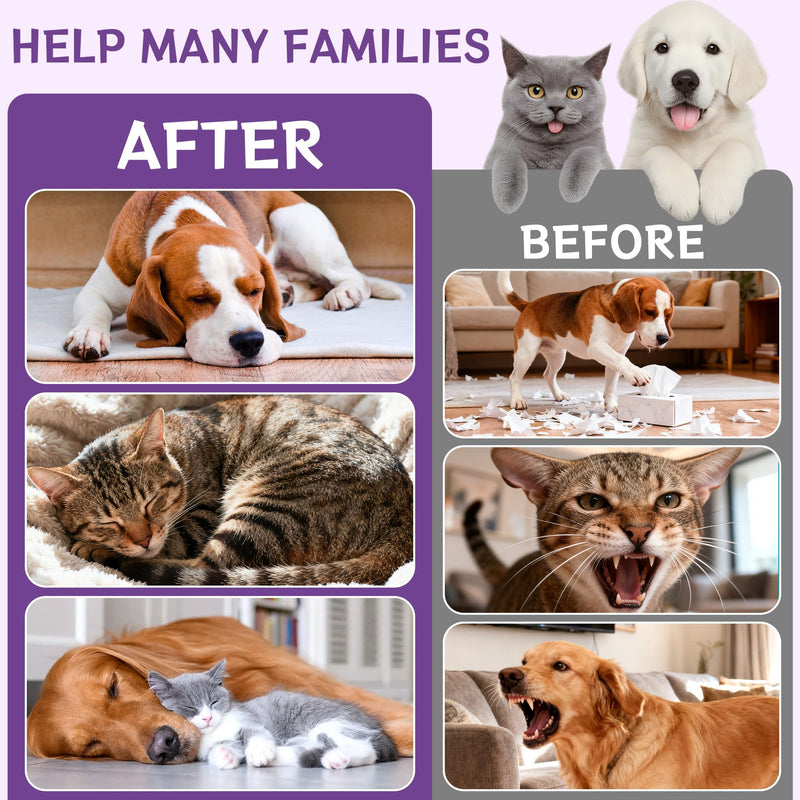 Cats＆Dogs Melatonin Calming Drops, Dog Anxiety Relief from Fireworks, Separation＆Travel Stress, Helps Cats Good Behaviour and Sleep with Natural Ingredients (60ml)