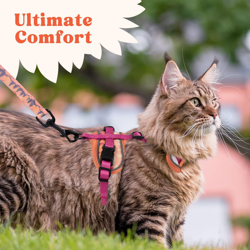 Cat Harness and Leash Set for Walking, Escape Proof Vest Harnesses for Cats, Breathable Mesh with Reflective Strips - (Sienna Mountains), X-Small Sienna Mountains - BeesActive Australia