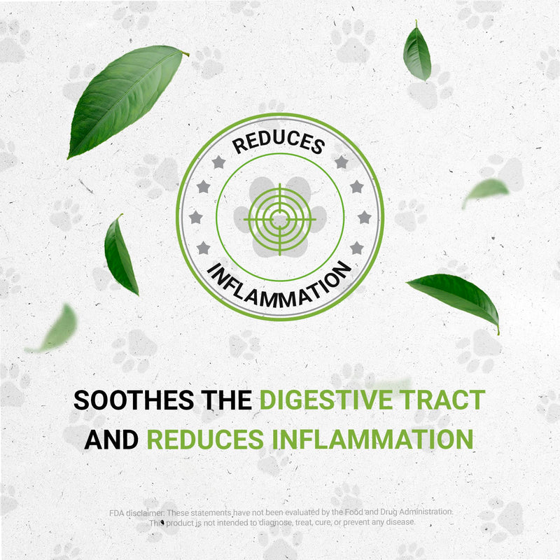 Lion's Kidney | Natural Herbal Dietary Supplement for Cats | Healthy Kidney Function Support in Cats | Alcohol-Free Extract, Dandelion Root, Calendula, Linden, Chamomile, Fennel 2 oz