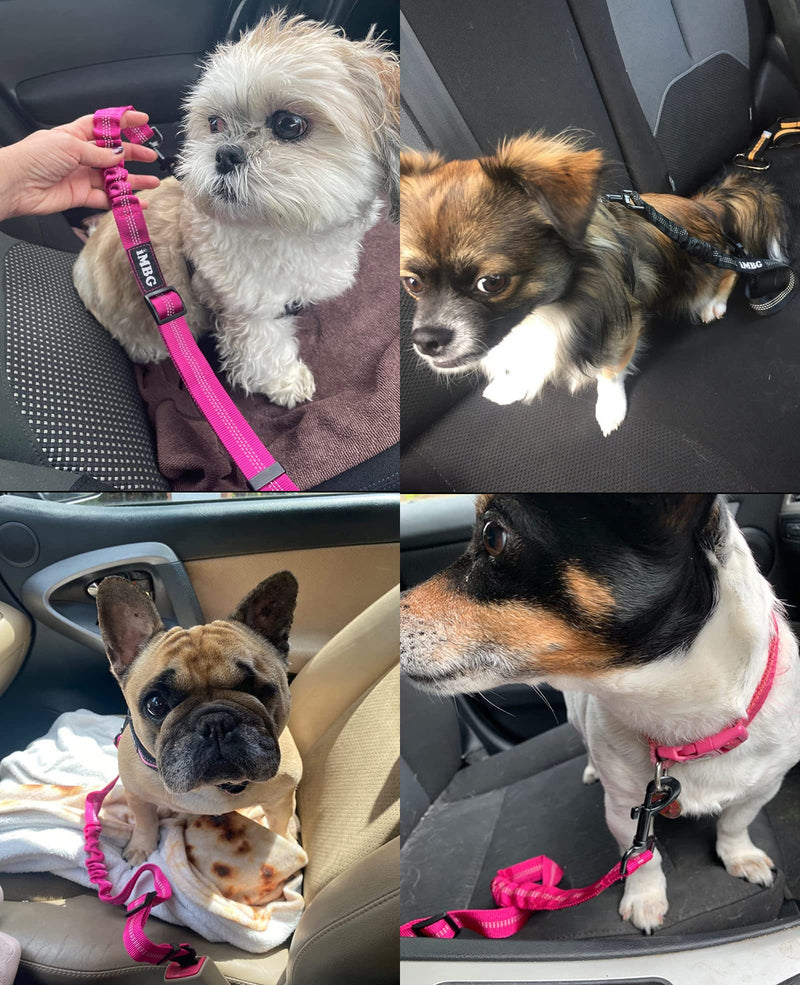 Dog Seat Belts for Car, Adjustable Nylon Restraint Car Seat Belt for Dog, Strong Dog Car Safety Harness with Elastic Bungee Buffer, 360 Degree Swivel Attach Won't Twist Black -1 Pack - BeesActive Australia
