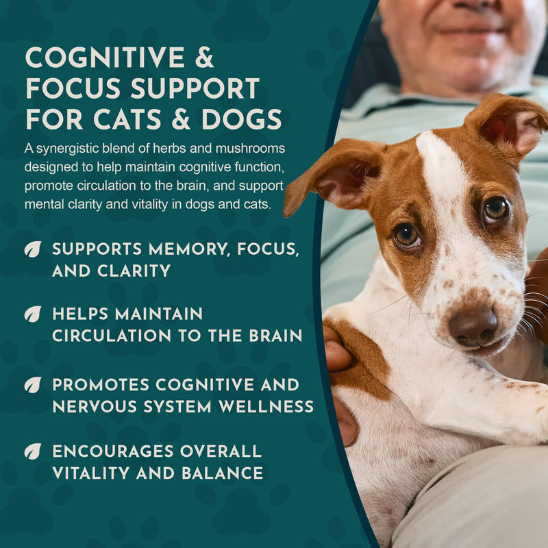 Animal Essentials Brain Awake Cognitive Support Formula for Dogs & Cats, 1 fl oz