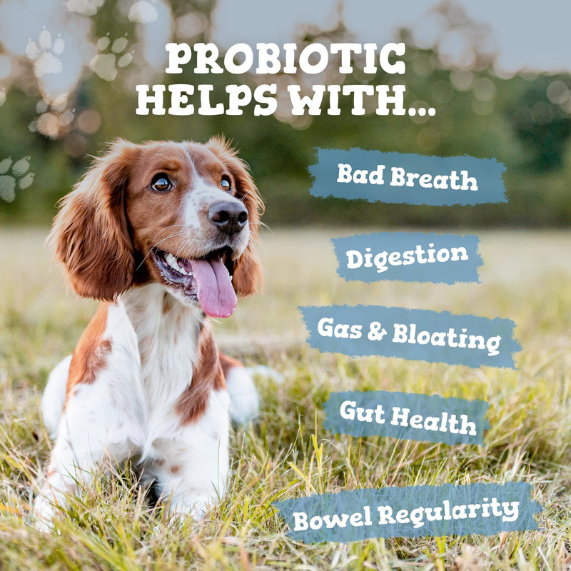 Zipvit Probiotics for Dogs, Daily Dog Probiotic Powder for Gut Health and Digestion, 525 Million CFU per Serving, with Prebiotics and Postbiotics, 150g