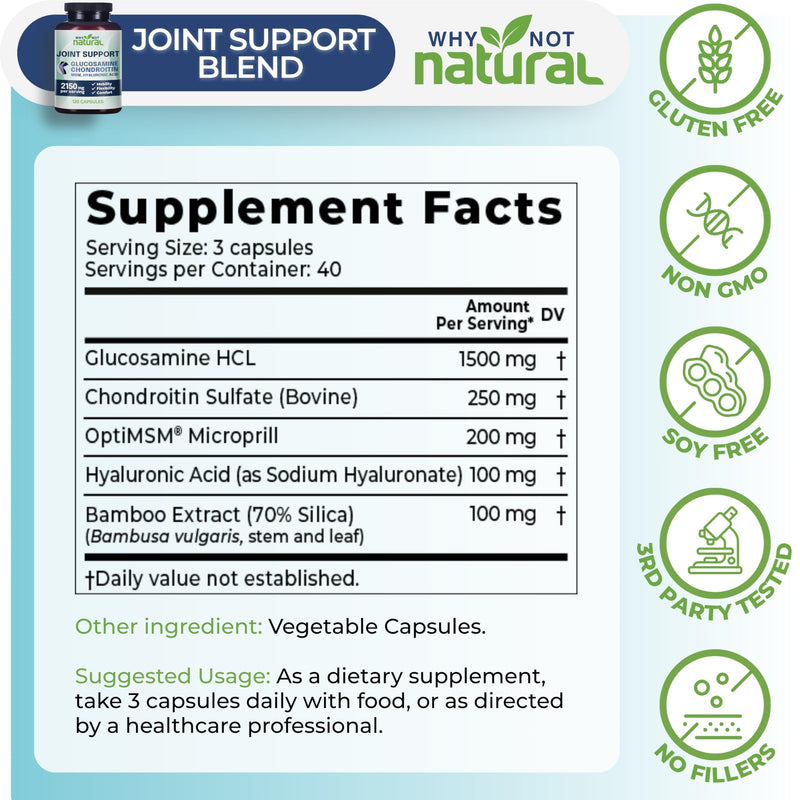 Why Not Natural Glucosamine Chondroitin, MSM, Joint Support Supplements - Knee Pain Joints Health Suppplement - BeesActive Australia