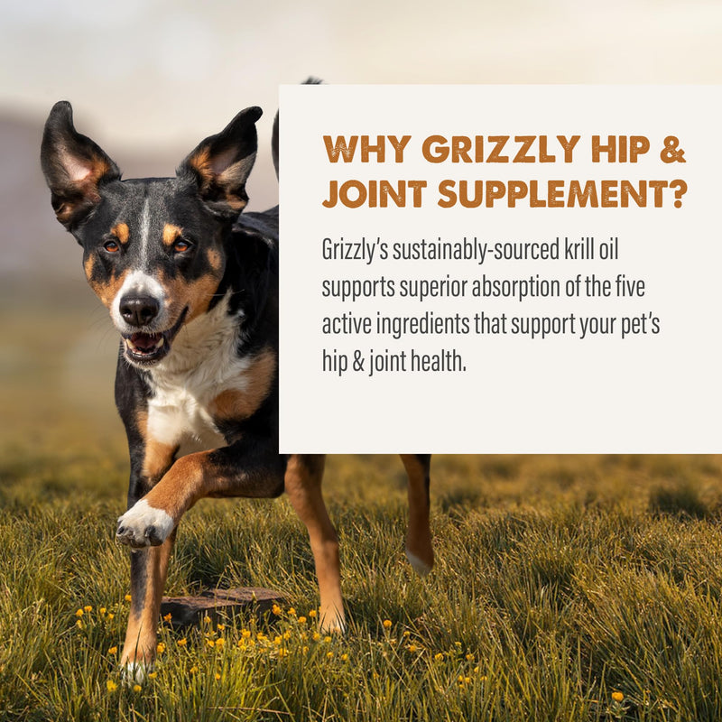 GRIZZLY PET PRODUCTS Joint Aid for Dogs Liquid Hip and Joint Support (Extra Strength), 16 fl oz 16 fl oz (Extra Strength) - BeesActive Australia