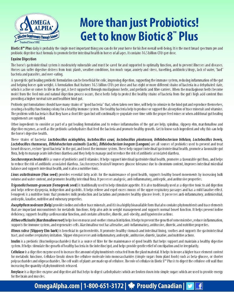 Omega Alpha Biotic 8 2.2lbs for horses - BeesActive Australia