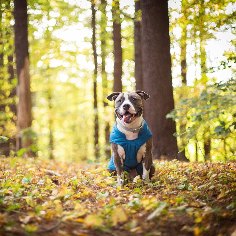 Kurgo Loft Dog Jacket, Reversible Dog Coat, Wear with Harness or Sweater, Water Resistant, Reflective, Winter Coat for Medium Dogs (Coastal Blue, M) Medium (Pack of 1) Coastal Blue/Orange - BeesActive Australia