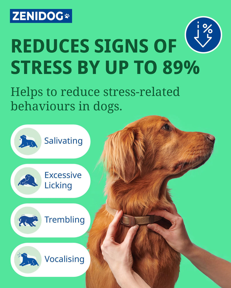 Virbac Zenidog Calming Collar for Dogs - Stress & Anxiety Support Collar for Medium to Large Dogs Medium/Large