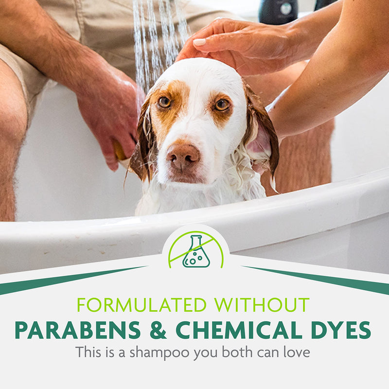FURminator Ultra Premium deShedding Shampoo for Dogs Helps Reduce Excess Shedding, 16 oz - BeesActive Australia