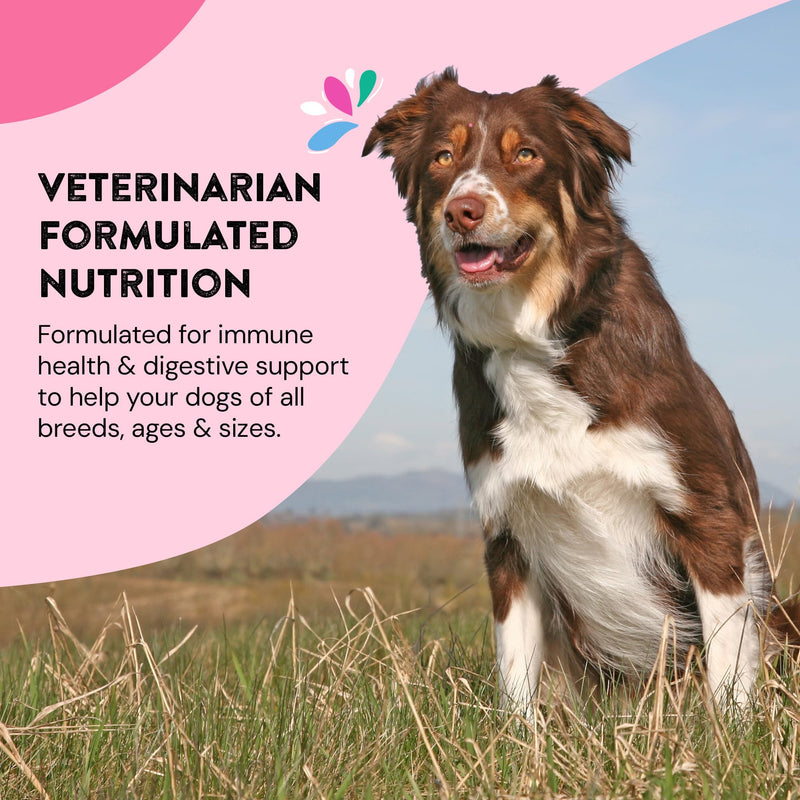 Skin & Coat Supplements for Dogs | Dog Itching Skin Relief & Promotes Shiny Skin Coat for Dogs | Rich in Omega 3 All-Natural Ingredients Tasty Kibble Dog Food Topper | 21 Count Pack Skin & Coat