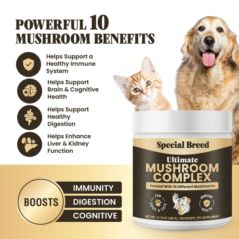 Mushroom Powder for Dogs & Cats - Organic Mushroom Complex for Immunity Support, Immune Function, Cognition, Vitality - Ten Mushroom Supplement with Turkey Tail, Lion's Mane, Reishi - 720 Scoops 12.70oz