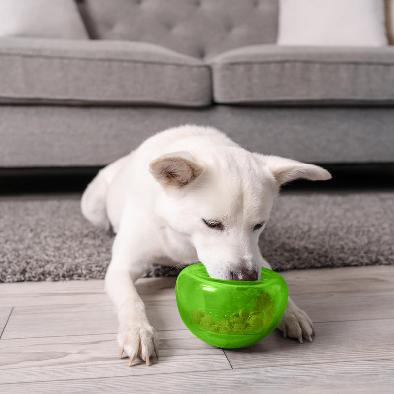 Outward Hound by Planet Dog Snoop Interactive Treat Dispensing Dog Toy, Large, Green One-Size Green Snoop - BeesActive Australia
