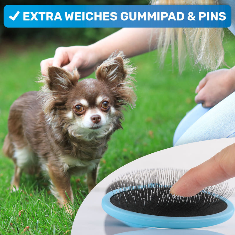 BluePet cat brush & small dog brush, rabbit brush - gently removes underfur, knots & felt - mini plucking tool for daily grooming mini blue - BeesActive Australia