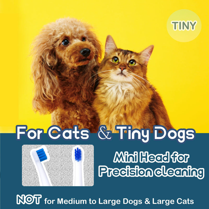 Cat Toothbrush Tiny, Small Dog & Puppy Tooth Brushing Kit, Ultra Soft & Mini 15° Curved Head Teeth Brush for Kitten Pet, Doggy Toothbrushes Deep Dental Clean, Soft Bristles, 2 PCS - White 1 Count (Pack of 2)