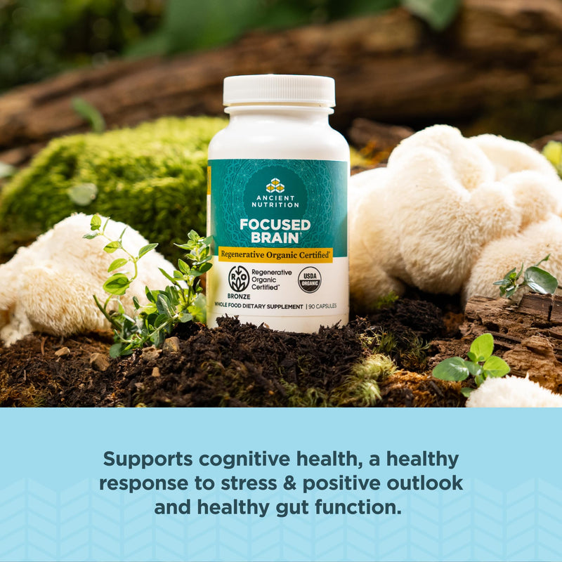 Ancient Nutrition Regenerative Organic Certified Focused Brain Capsules, Made with Ginkgo Leaf, Lion's Mane to Help Reduce Stress, Gluten Free, Paleo and Keto Friendly, 90 Count - BeesActive Australia