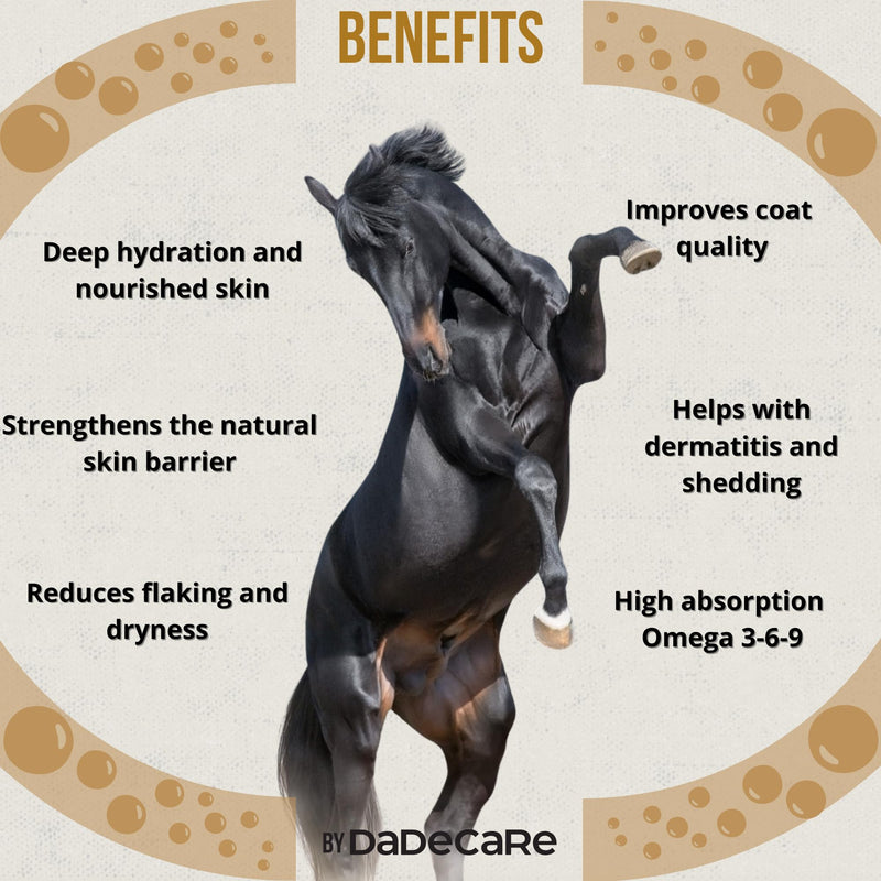 Skingcare Dermatological Oil Supplement for Horses 1L - Omega 3-6-9 with Linseed, Camelina, Sunflower and Salmon - Nutritional Support for Dry Skin, Hair Loss and Coat Health