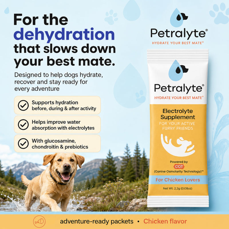 Petralyte Dog Electrolytes and Joint Supplement | Hydration Support for Dogs w/Glucosamine, Chondroitin & More | Electrolytes for Dogs with Prebiotics | for Chicken Lovers | 16 Packets 1-Pack (16 Packets)