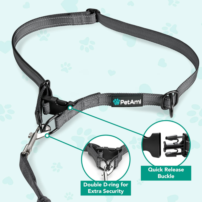 PetAmi Hands-Free Dog Leash for Walking, Running & Hiking, Heavy Duty Bungee Waist Leash with Dual Padded Handles, Adjustable Reflective Belt for Small, Medium & Large Dogs up to 150 lbs, Purple 1 Leashes
