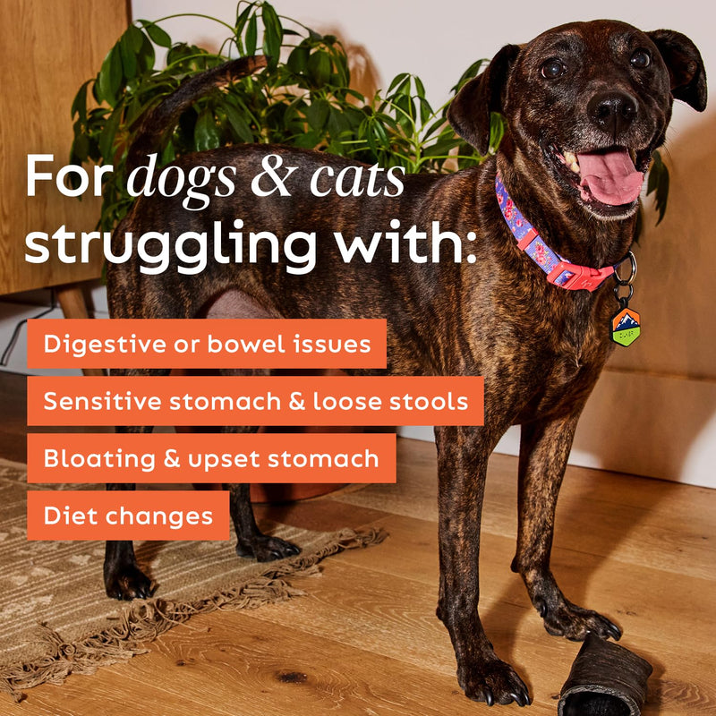 Diggin' Your Dog – Firm Up Pumpkin for Dogs & Cats – Fiber Supplement with Pumpkin & Apple Fiber for Cat & Dog Digestive Support – Made in USA, 1 oz - BeesActive Australia