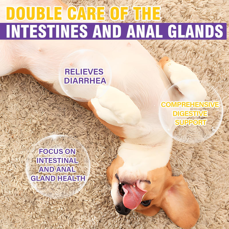 Dog Anal Gland Soft Chews 150 Stop Scoot for Dogs Supports Anal Gland Bowel Function Digestive Health Fiber Pumpkin Supplement for Dogs Pet Diarrhea Bowel Support Probiotics Digestive (Chicken Flavor) 150 Count(Pack of 1)