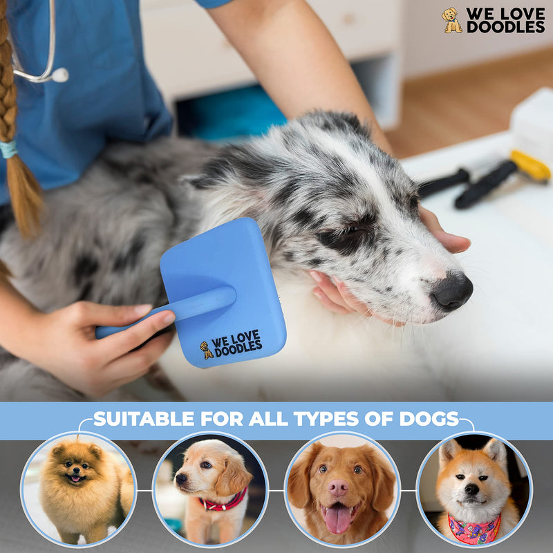 We Love Doodles Dog Slicker Brush for Grooming Pet Hair - Best Brushes For Poodle & Golden Doodle - Long Haired Brush For Dogs - Goldendoodle Long Pin Brush For Dematting (Large) Large Slicker Brush - BeesActive Australia
