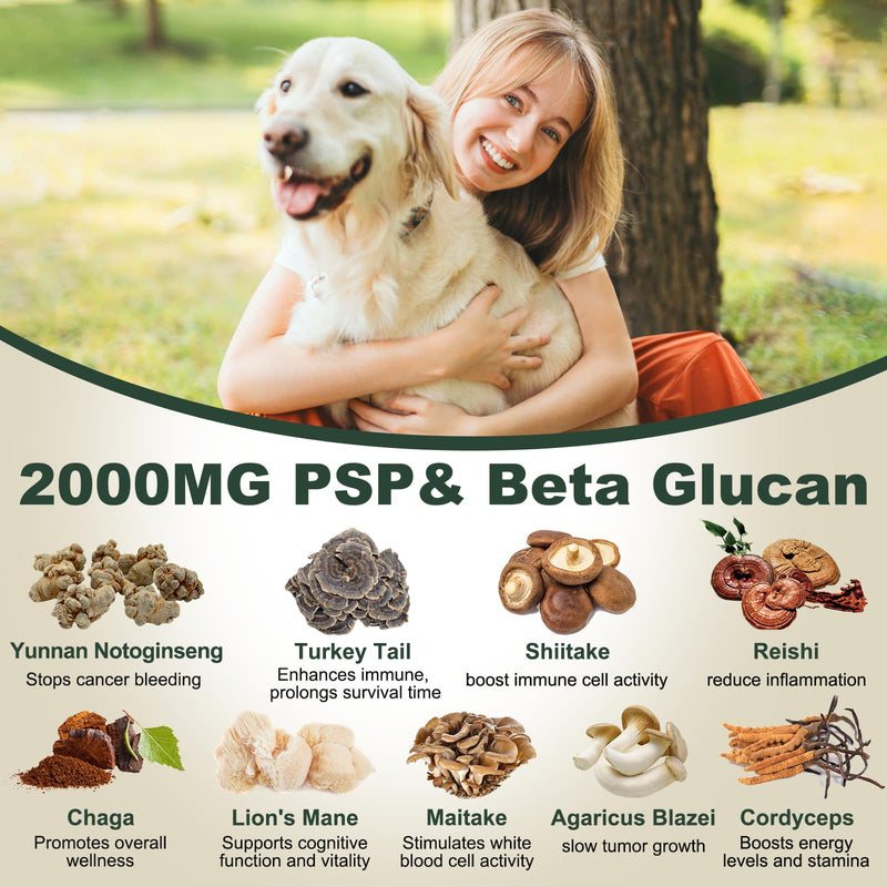 Yunnan Sanqi Powder for Hemangiosarcoma and Immune Support in Dogs, High in PSP & Beta Glucans, 8 Critical Mushrooms for Holistic Defense, Supports Cancer-Related Bleeding, Hemoabdomen, 3.5 oz