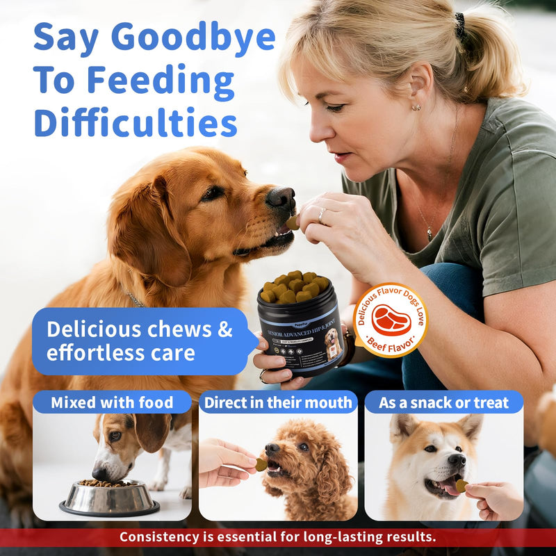 Senior Advanced Joint Supplement for Dogs – 17-in-1 Glucosamine for Dogs with Chondroitin – Hip & Joint Pain Relief Pills – Mobility Support Chews – Large & Small Breeds - Beef Flavor – 90Ct 90 Count (Pack of 1)