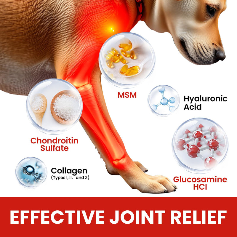 Dog Collagen Drops – 4oz Liquid Supplement for Mobility, Coat Health, and Skin Nourishment