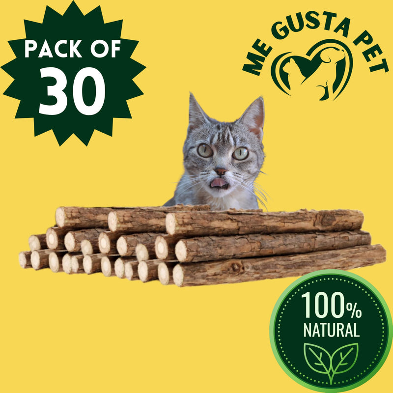 Cat Toys Silvervine Sticks for Cats | Matatabi Cat Chew Stick | Cat Toy Catnip Sticks Organic Cat Chew Toys | Wooden Stick Kitten Teething | Silvervine Sticks for Cat (Pack of 30) - BeesActive Australia