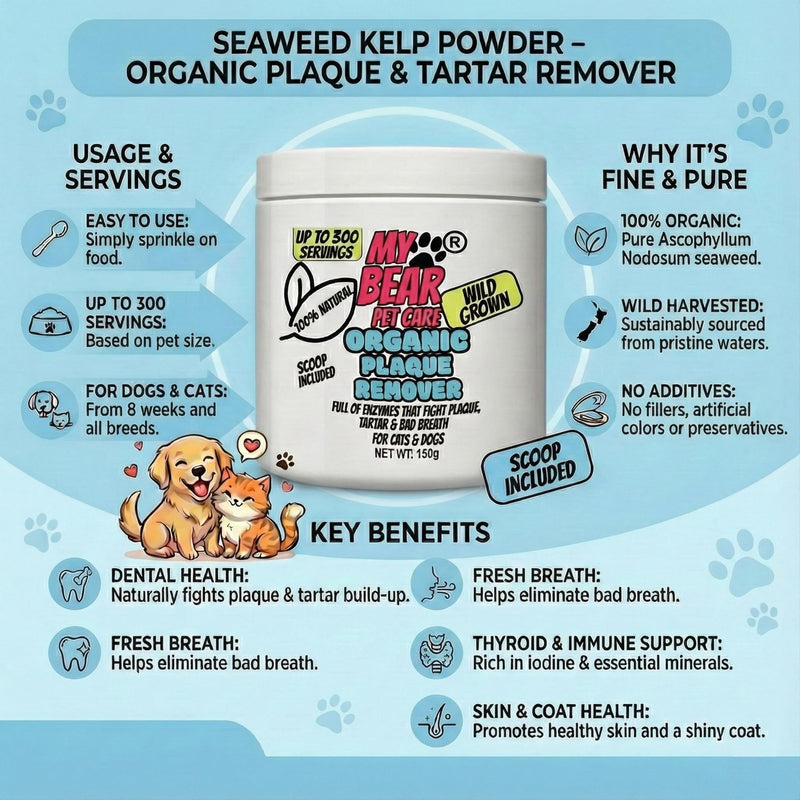 Organic Kelp Plaque & Tartar Remover for Dogs & Cats – Natural Seaweed Dental Powder – Human Grade – 70g