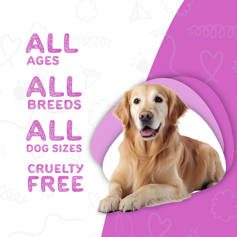 Waggedy Advanced Dog Probiotics Gut and Digestion Food Topper – Probiotic Powder with Digestive Enzymes & Papaya – Gentle Probiotics for Dogs 6+ Weeks – Supports Gut Balance, Comfort & Immune Health 4 oz