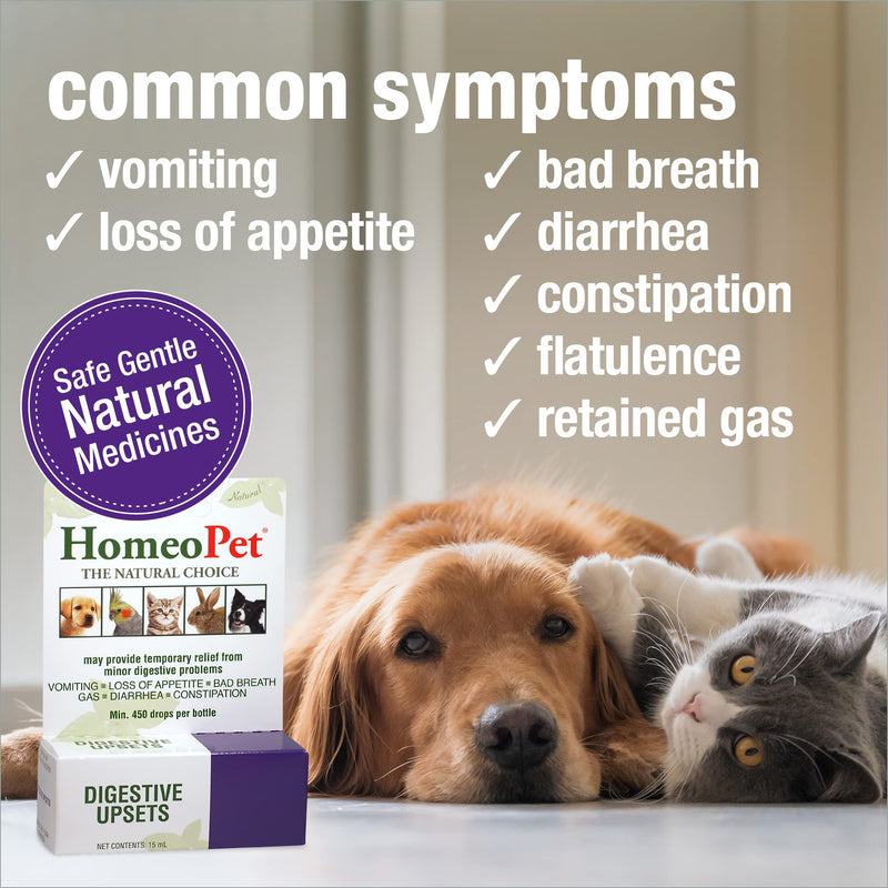 HomeoPet Digestive Upsets, Natural Pet Digestive Support, Digestive Supplement for Dogs, Cats, and Small Pets, 15 Milliliters 15mL - BeesActive Australia
