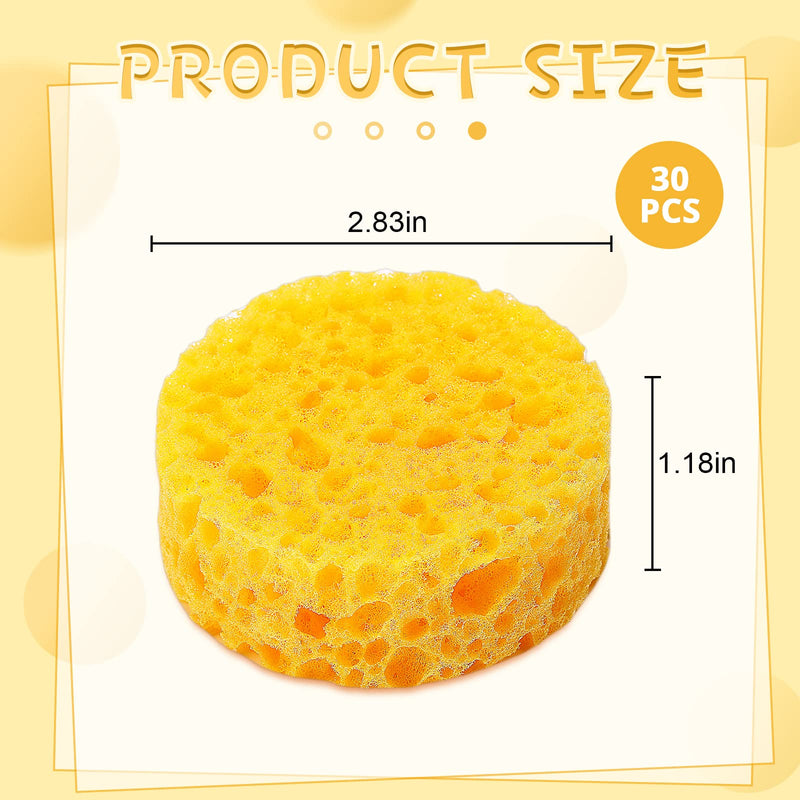 30 Pcs Tack Cleaning Sponges Horse Saddle Sponge Tack Sponges for Leather Saddle Horse Supplies Boot Crafts Ceramics Household Use and More, Medium Hole Round, 2.83 x 1.18 Inches - BeesActive Australia
