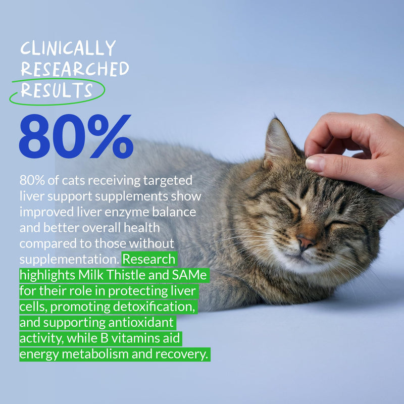 Liver and Kidney Support for Dogs & Liver and Kidney Support Powder for Cats
