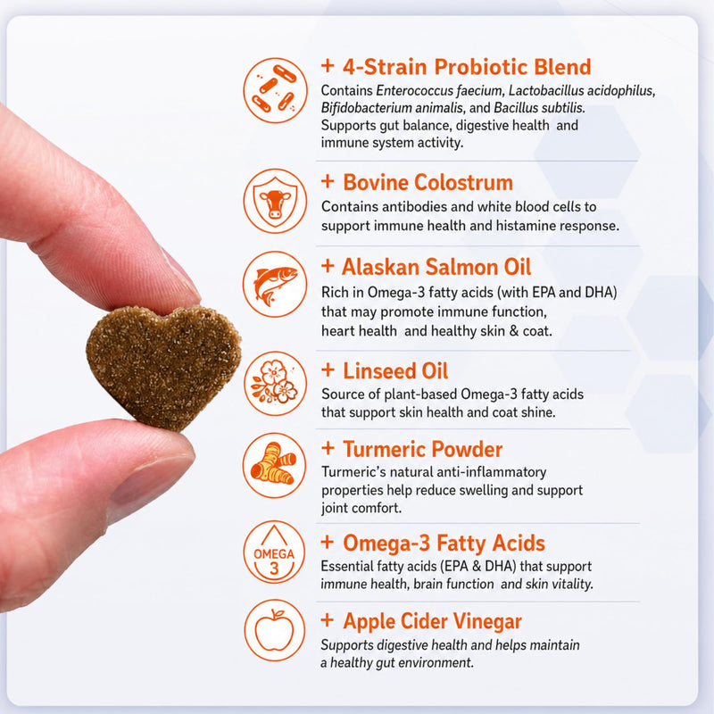 Dog Allergy Relief Chews – Anti Itch Skin & Coat Supplement for Dogs with Probiotics, Omega 3, Alaskan Salmon Oil, Bovine Colostrum & Turmeric – Gut Health & Immune Support Soft Chews 60 Dog Chews