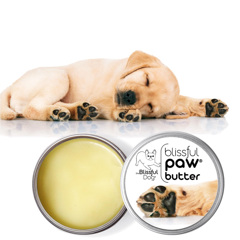 The Blissful Dog Paw Butter, Moisturizer for Dry Paw Pads, Softens and Protects a Rough Paw in Winter, Versatile, Lick-Safe Dog Paw Pad Balm, 1 oz. - PawsPlanet Australia