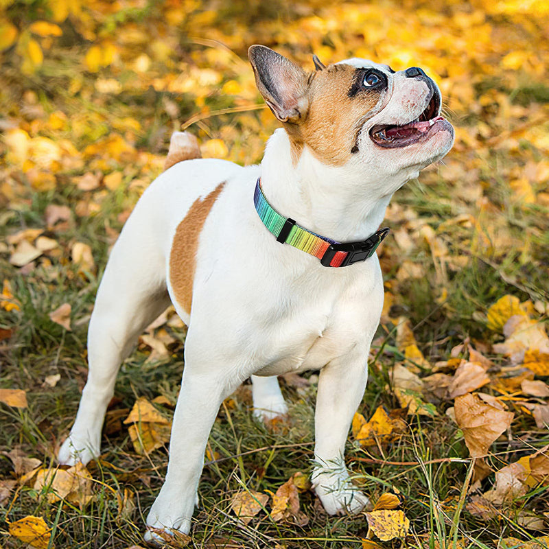 HEELE Dog Collar, Dog Collar for Puppies Small Medium Large Dogs, Patterned Dog Collars, Adjustable, Comfortable, Robust Dog Collar, Rainbow, S S (Length 25-38cm, Width 1.5cm) - BeesActive Australia