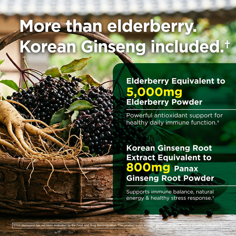 Immune Support 6-in-1 – Elderberry, Ginger, Korean Ginseng, Vitamin C 500mg, D3 2500IU, Zinc | Vegan Capsules – 1 Month Supply | Innervis Nutrition