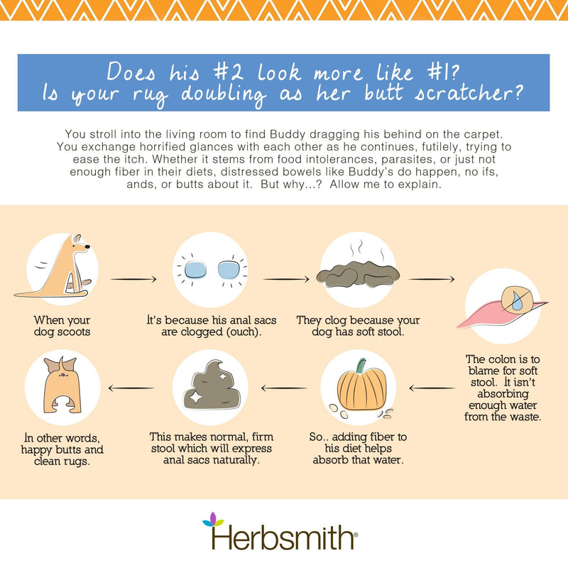 Herbsmith Scooter’s Butt Bars - Anal Gland and Bowel Support with Pumpkin Fiber for Dogs- Digestive Aid for Dogs - Dog Fiber Bars - Case of 8 Mini Bars Case Of 8 Mini Bars (For Dogs Under 30lbs) - PawsPlanet Australia