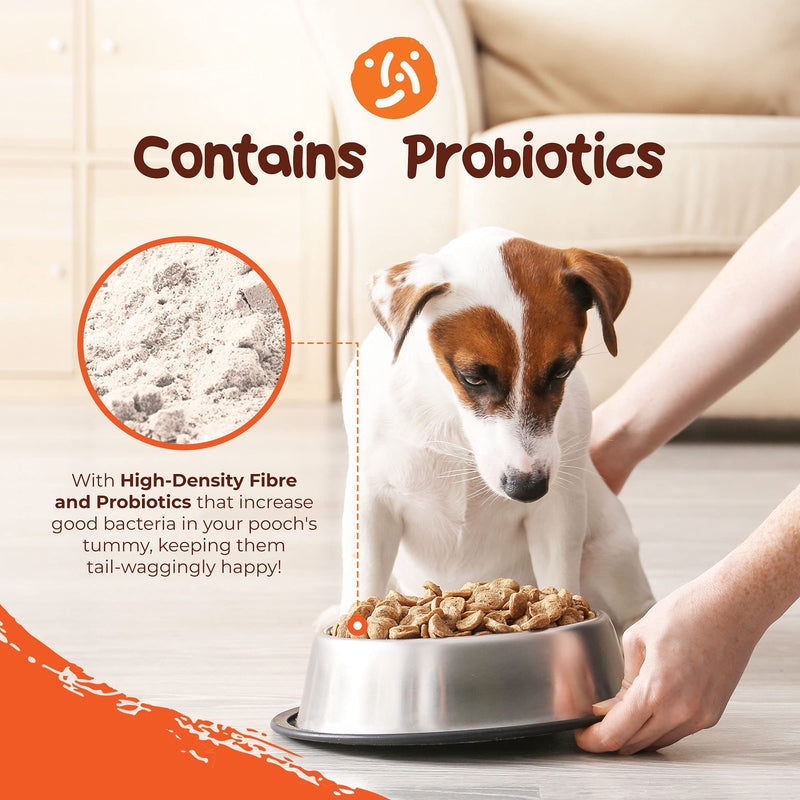 Fibre Boost Anal Gland Digestion Supplement - Stop you pet scooting with our Probiotic Support for Dogs & Cats with Fibre, Pro & Prebiotics – for Dog Gut Health - Gluten-Free powder 225g powder