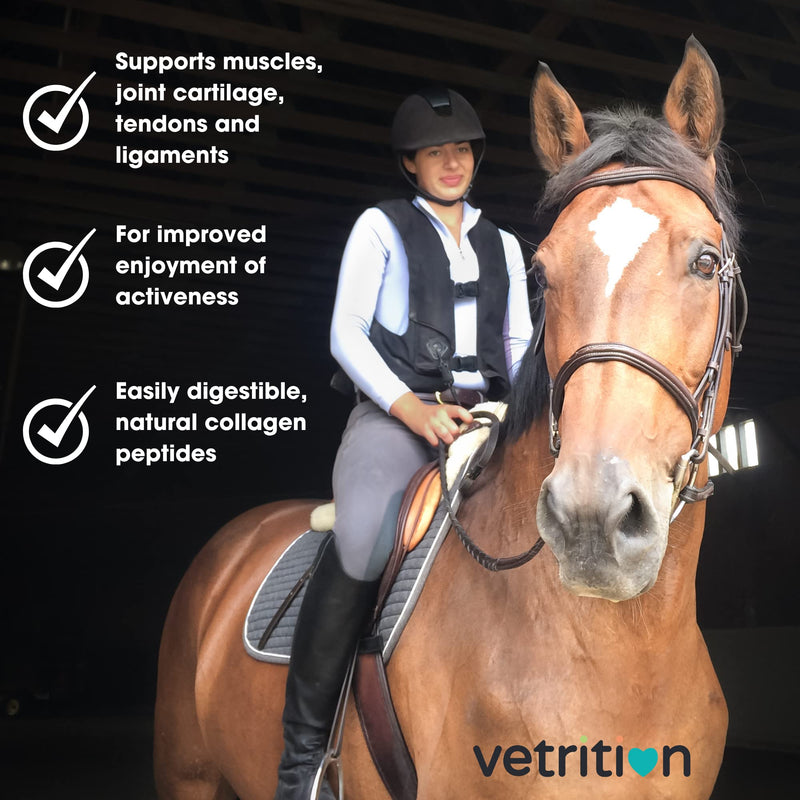 Everyday Collagen Powder for Horses, Bioactive Equine Collagen Peptide Powder, Vet Approved Horse Advanced Joint Supplement for Mobility, Skin & Muscle, All Breeds and Ages (750g)