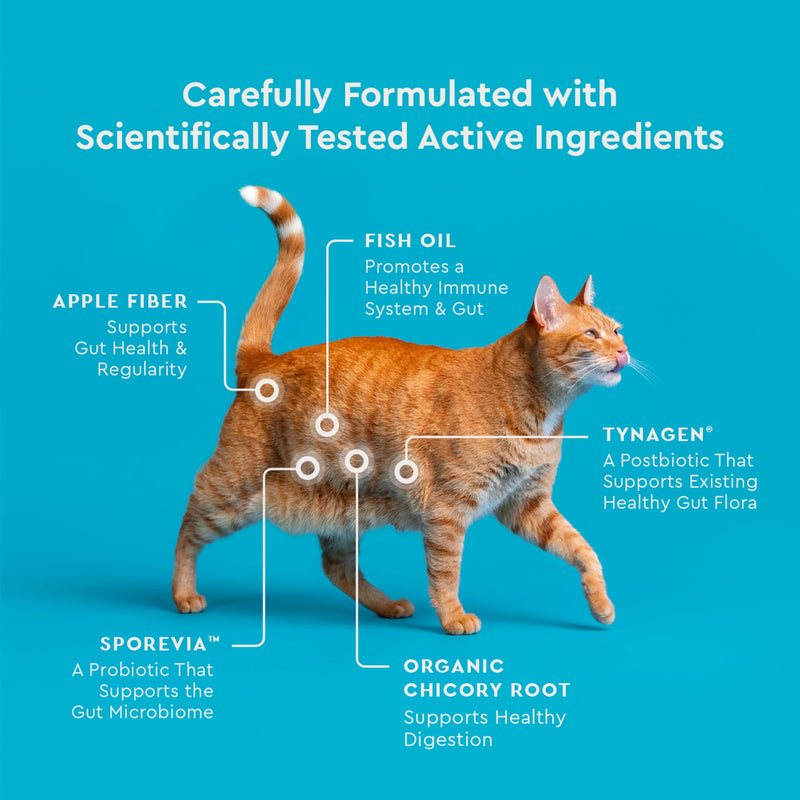 VetIQ Cat Probiotics Supplement – Probiotic, Prebiotic & Postbiotic Cat Supplements, Digestive & Gut Health Support, Constipation & Diarrhea Relief, Chicken Flavored, 3.7 oz