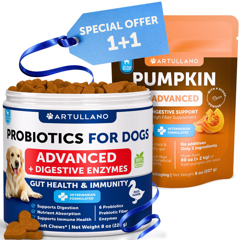 Pumpkin Powder for Dogs + Probiotic Chews Bundle - Fiber Supplement for Digestion, Gut Balance & Firm Stool - Gut Health, Immunity, Yeast Balance, Reduces Diarrhea & Gas, Enzymes & Prebiotics