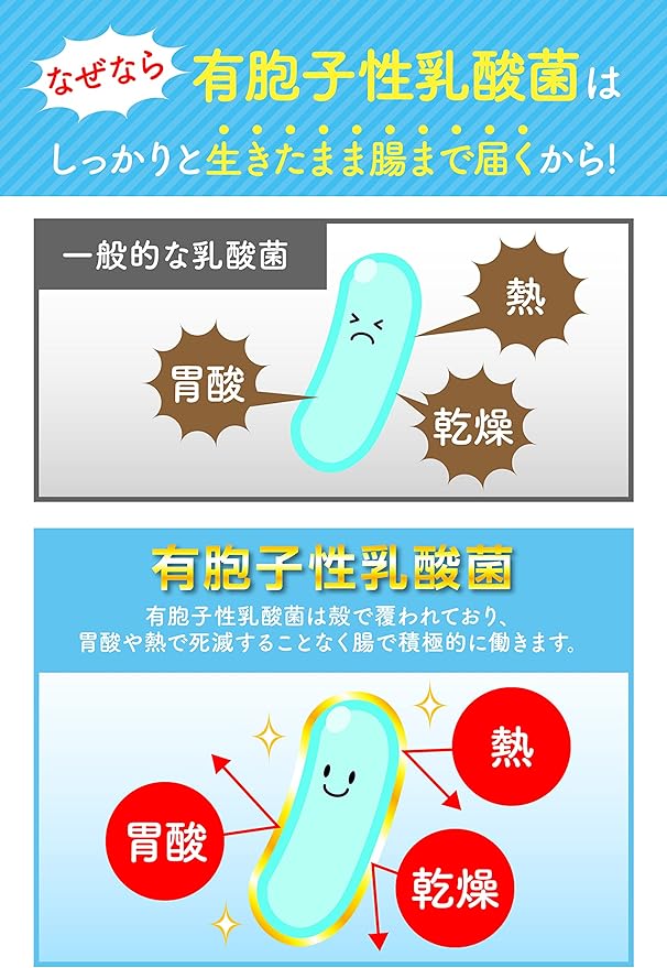[Foods with functional claims] Lactic acid bacteria Bifidobacterium supplement (spore-forming lactic acid bacteria) [Probiotics x prebiotics (dietary fiber, etc.)] Synbiotics Intestinal activity Intes - BeesActive Australia