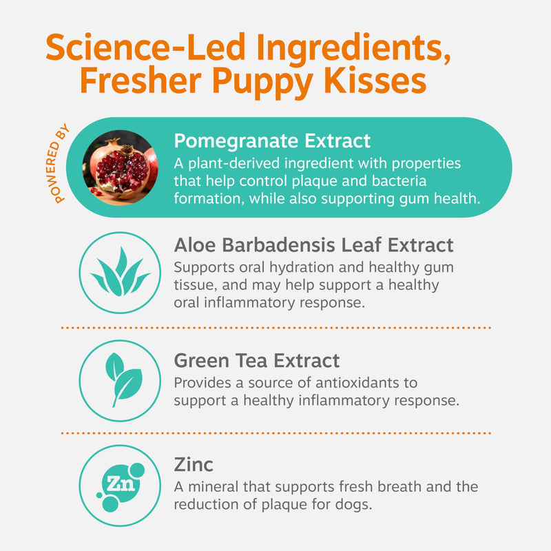 Zesty Paws Dog Dental Water Additive - Dog Breath Freshener + Oral Care - Plaque & Tartar Control - for Teeth & Gum Health - Pomegranate, Green Tea, Aloe & Zinc Extract 16oz
