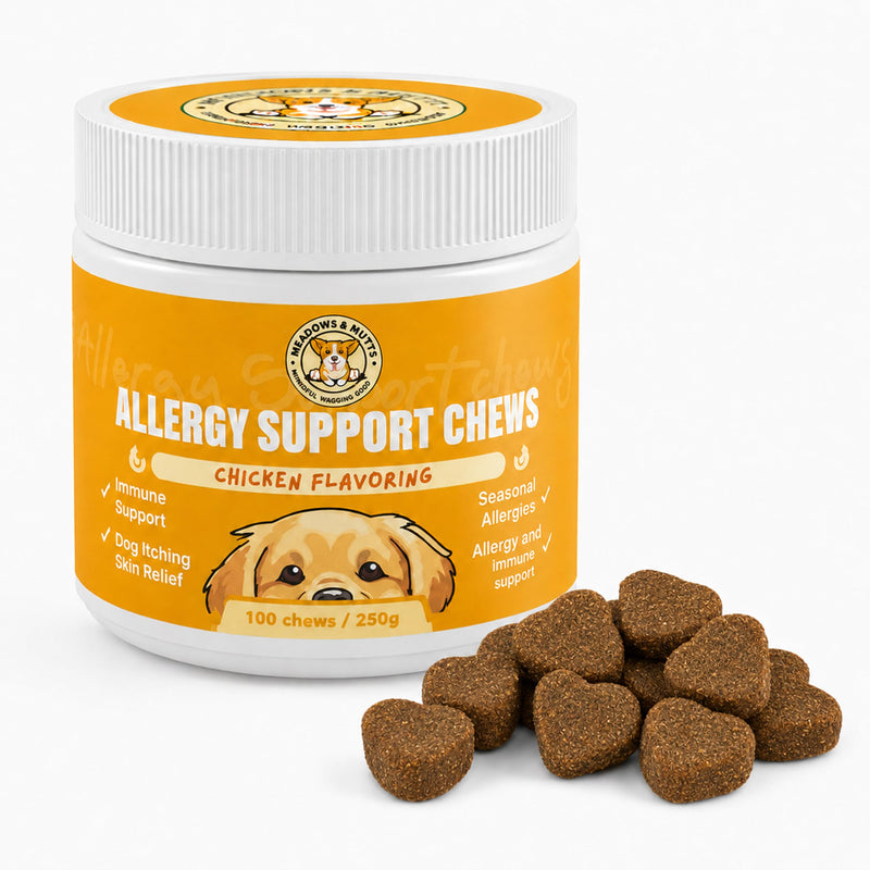 Meadows & Mutts Dog Allergy Relief Chews – Immune Support Dogs Probiotics Soft Chews - Anti Itch & Seasonal Allergy Relief - Probiotics Supplement Support Gut Health, Yeast, Skin & Coat - 100 ct