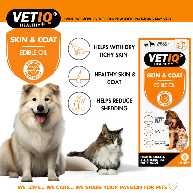 VETIQ Skin & Coat Edible Oil For Cats & Dogs, Grooming Supplement Helps With Healthy Skin & Coat, Itchy Dry Skin and Reduces Shedding, 250 ml (Pack of 1) Skin & coat Oil Dogs & Cats 250ml