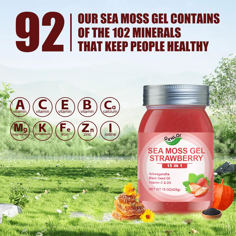 15OZ Strawberry Flavored Sea Moss Gel, 15-in-1 Seamoss Gel, Sugar Free | Rich in Ashwagandha, Vitamins and Minerals, Vegan 15 Ounce (Pack of 1)