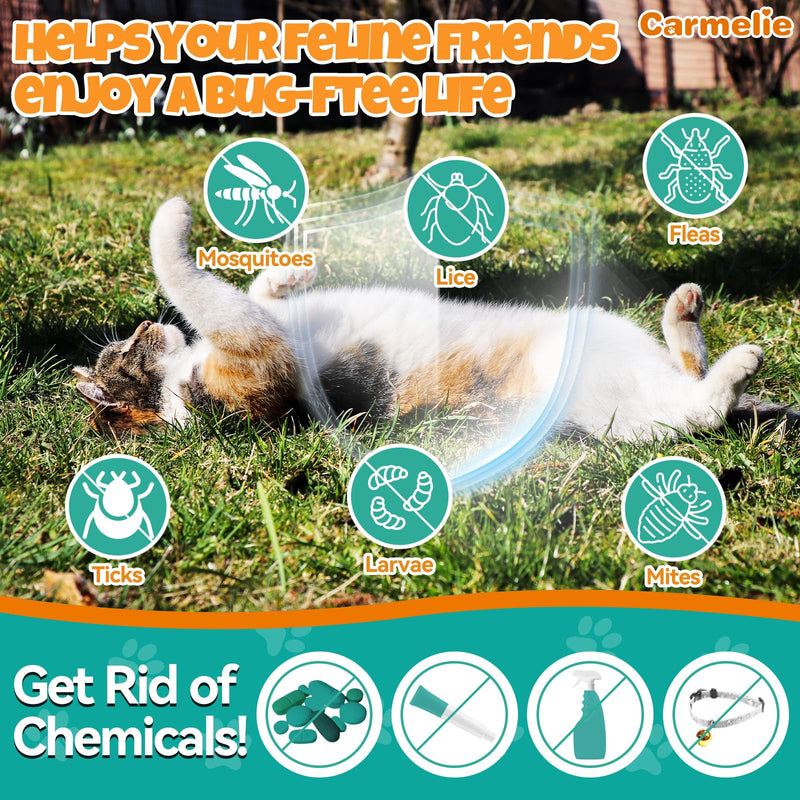 Flea and Tick Support for Cats & Natural Yeast Relief for Dogs, Natural Liquid Drops for All Breeds, Kittens to Senior Cat