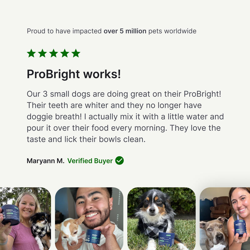 PetLab Co. ProBright Dental Powder - Dog Breath Freshener - Teeth Cleaning Made Easy – Targets Tartar & Bad Breath - Formulated for Small Dogs - Pack of 2