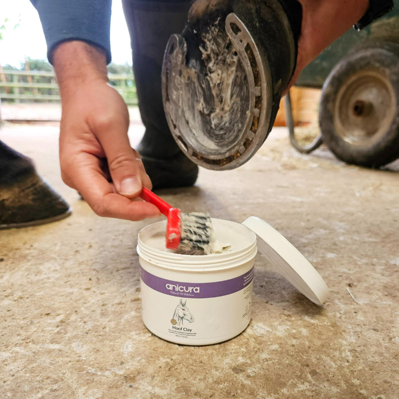 Anicura Hoof Clay for Horses – Antimicrobial & Antifungal Hoof Care, Prevents Thrush & Mud Fever, Promotes Hoof Strength, Cooling & Anti-Inflammatory Formula, 500g